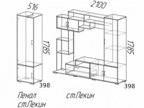 Гостиная Пекин с пеналом Ясень Шимо в Нязепетровске - nyazepetrovsk.mebel74.com | фото 2