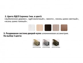 Шкаф-купе Акцент-Сим Д 1000-600 беленое дерево в Нязепетровске - nyazepetrovsk.mebel74.com | фото 3