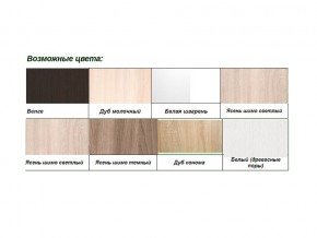 Шкаф-купе Хит 22-15-11 с разделителями в Нязепетровске - nyazepetrovsk.mebel74.com | фото 2