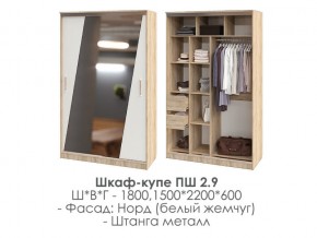 шкаф-купе ПШ-2.9 1500 Норд Белый жемчуг 1500 в Нязепетровске - nyazepetrovsk.mebel74.com | фото