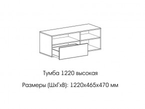 Тумба 1220 (высокая) в Нязепетровске - nyazepetrovsk.mebel74.com | фото